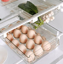 Organizador Armazenamento para Geladeira | FrostyBin