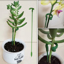 Suporte Inteligente Adaptável para Plantas | PlantFlex